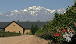 Bodega Dominio del Plata