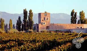 Renacer Winery